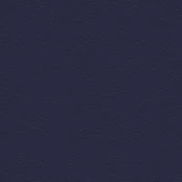 P2 EUROLINE 989 (графитовый серый)